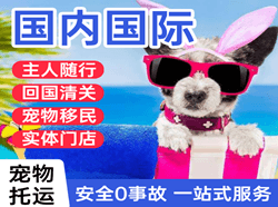 长春航空邮寄国际宠物托运 【国